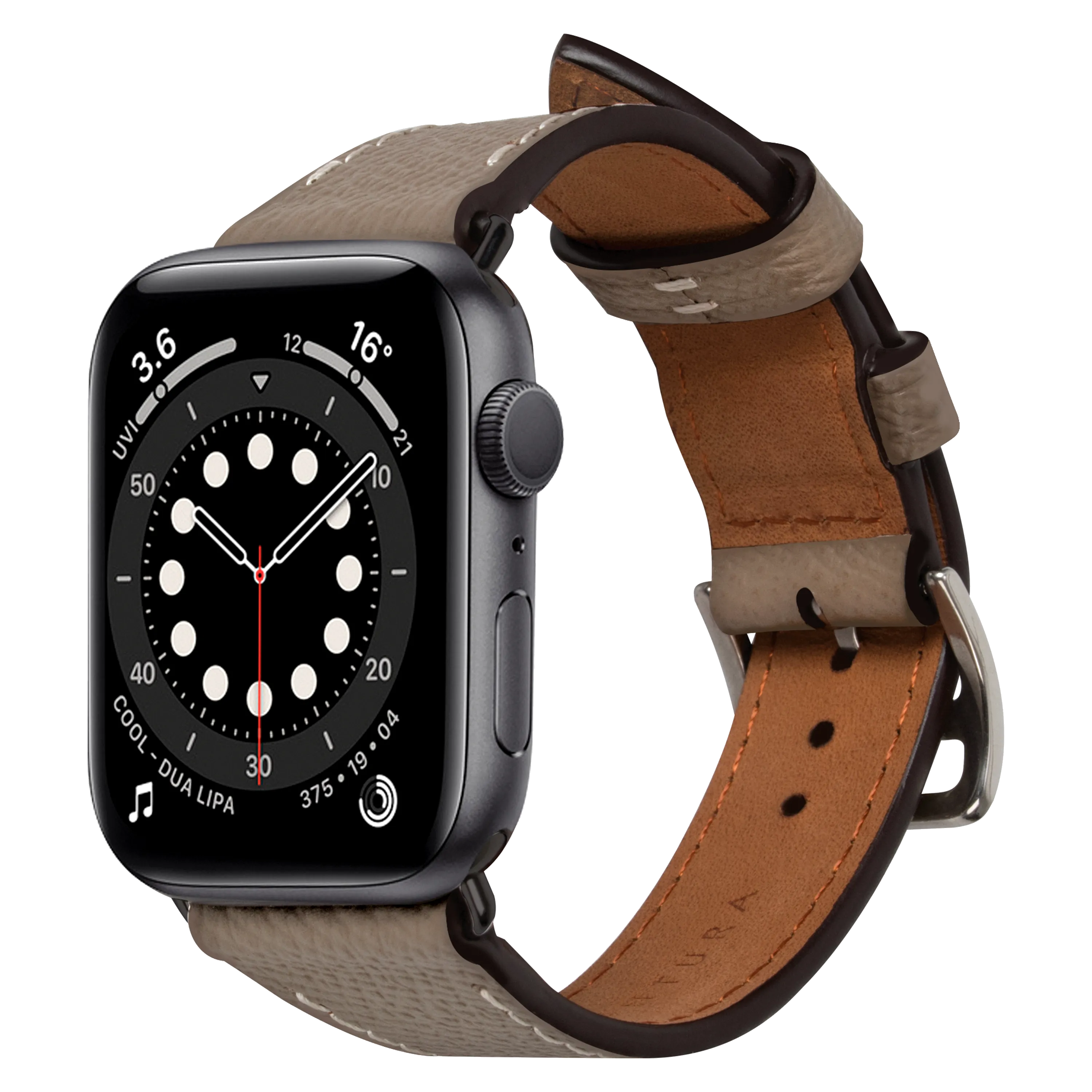 Apple Watch Band (41 mm)