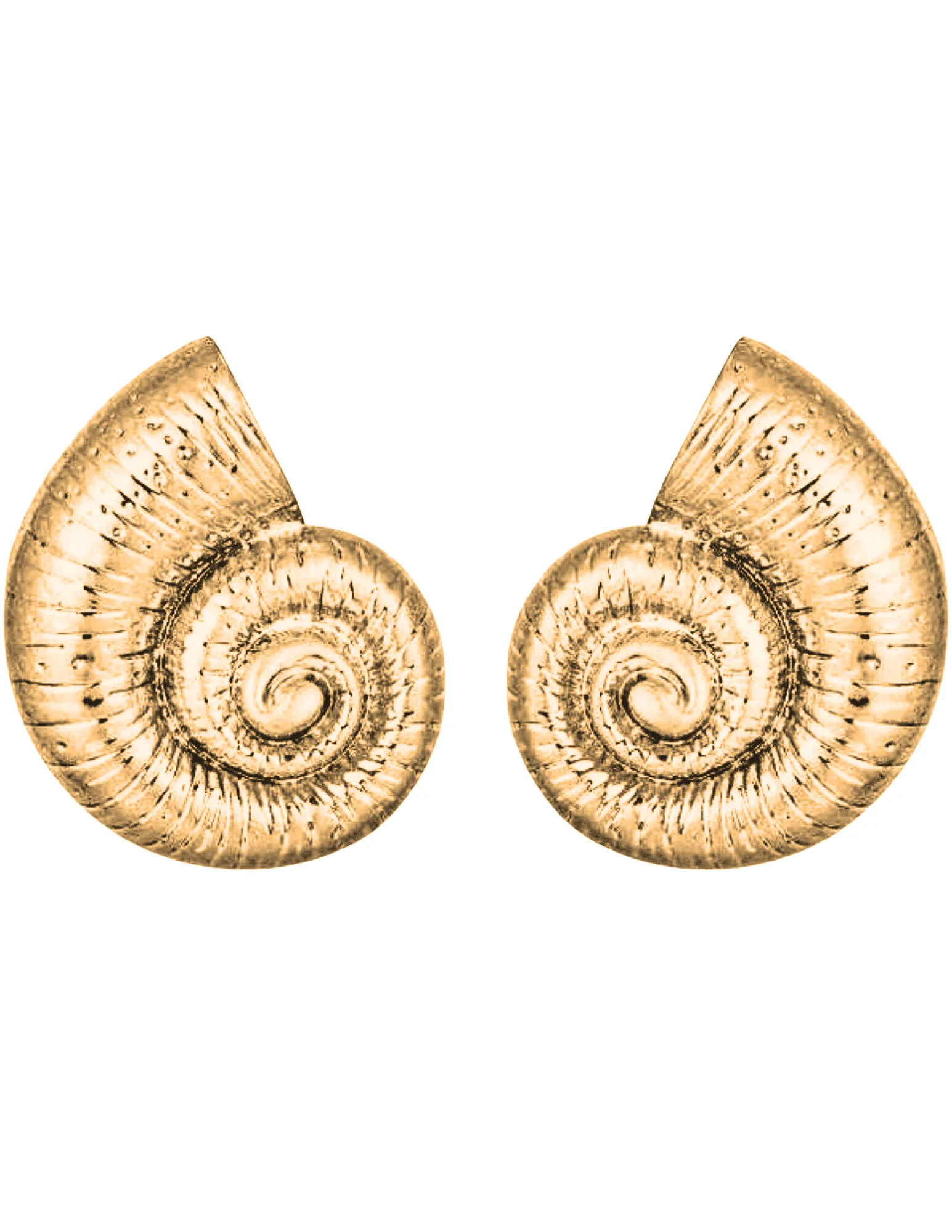 Austin Blaze Nautilus Gold Seashell Earrings
