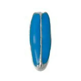 Beautiful Blue Snow Skate Board Floating Charms For Glass Living Memory Locket