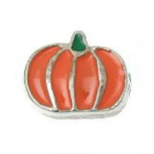 Beautiful Pumplin Floating Charms For Glass Living Memory Locket