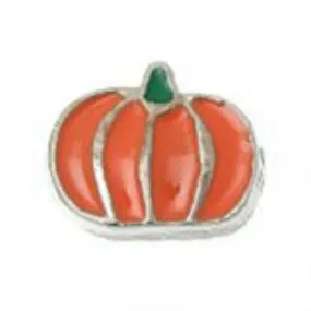 Beautiful Pumplin Floating Charms For Glass Living Memory Locket