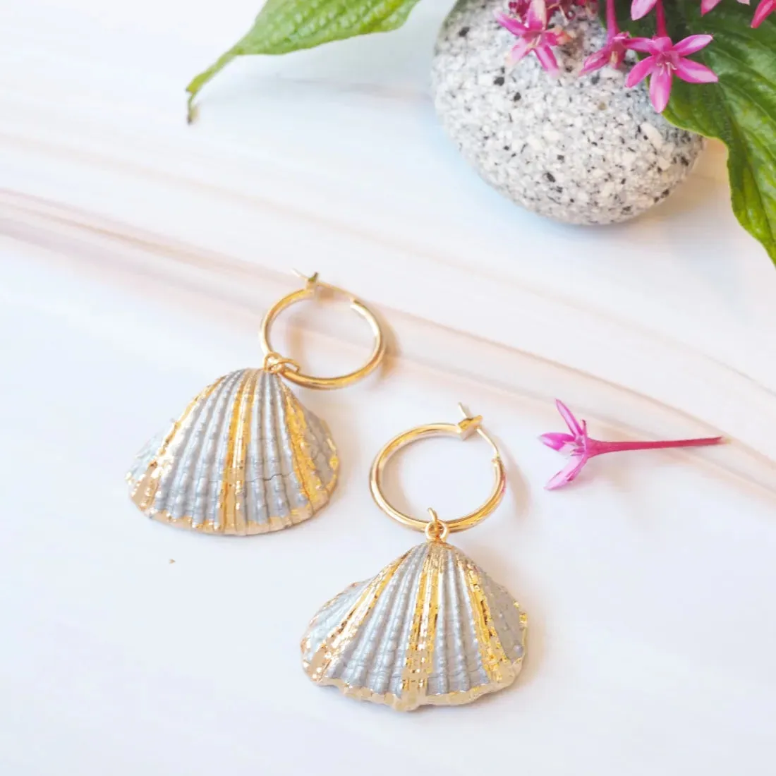 Grey Ark Seashell Hoop Earrings