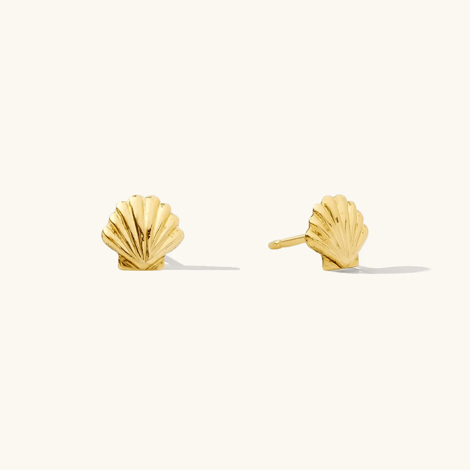 Seashell Stud Earrings