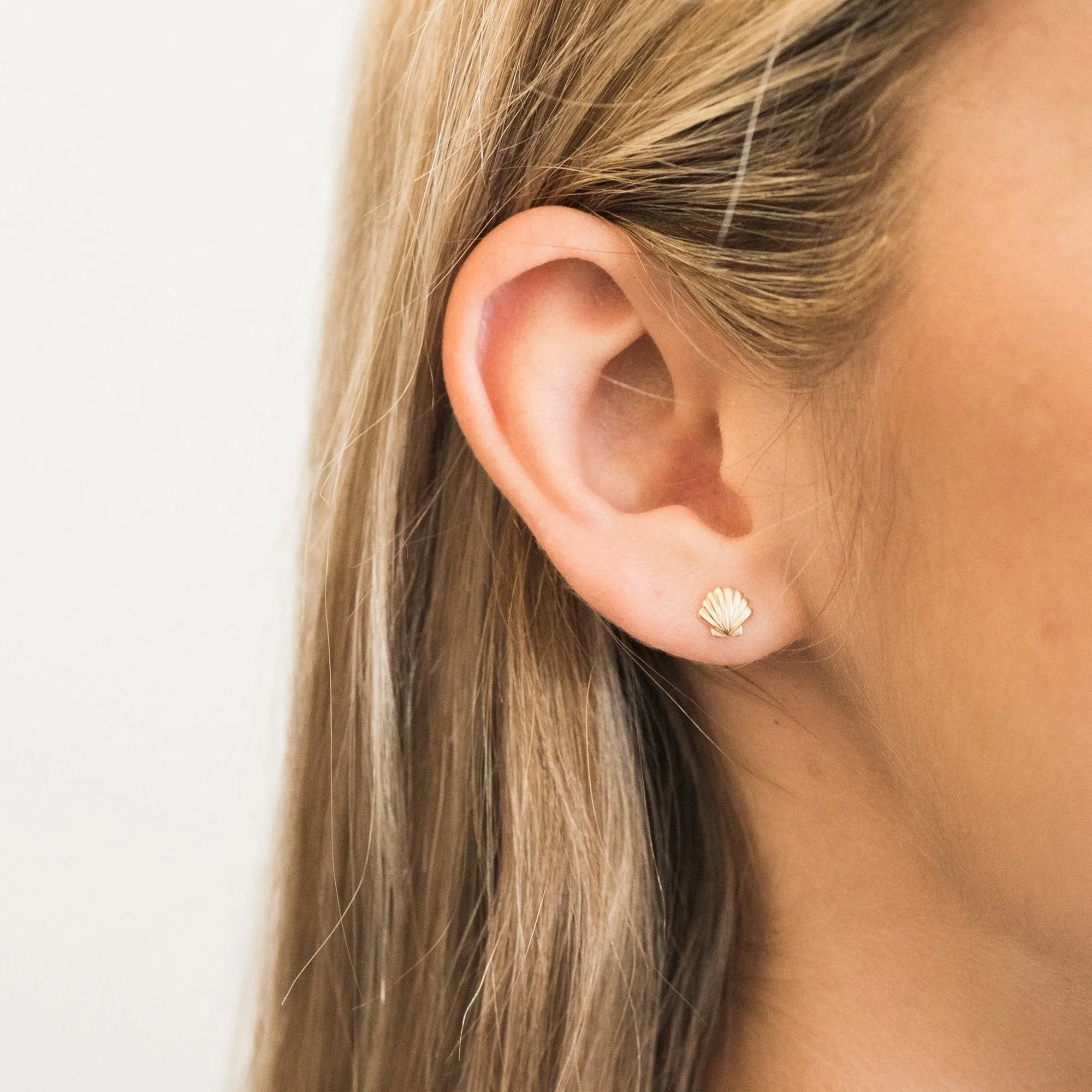 Seashell Stud Earrings