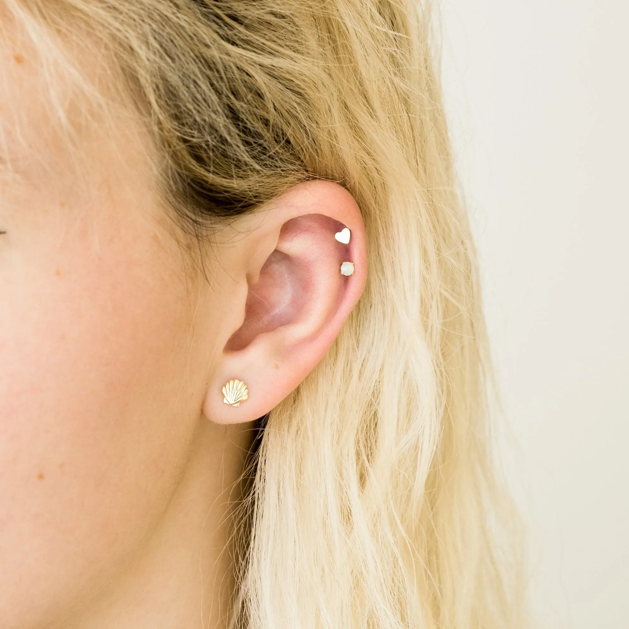 Seashell Stud Earrings