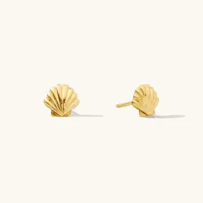 Seashell Stud Earrings
