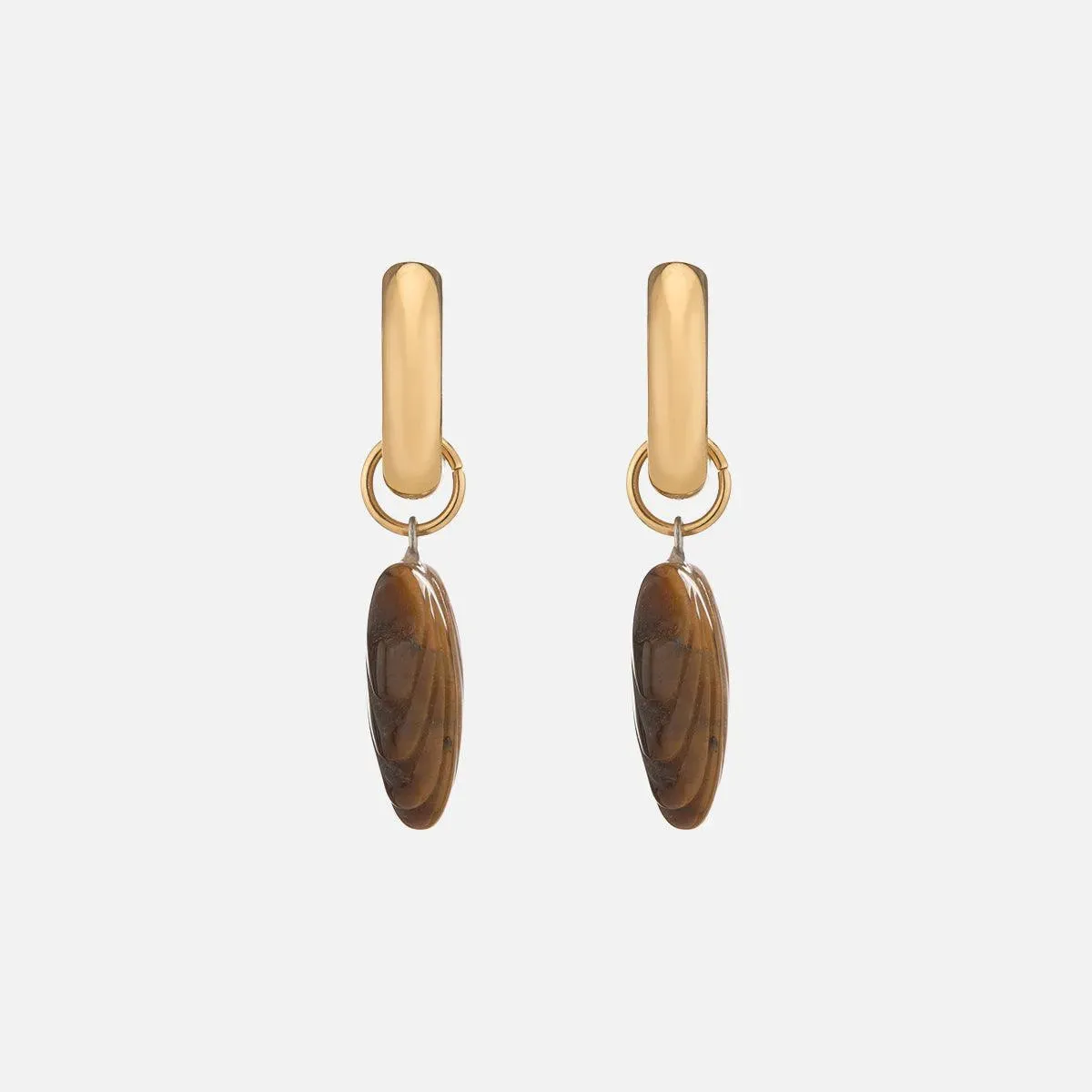 Shell We Dance Earring, Tigers Eye