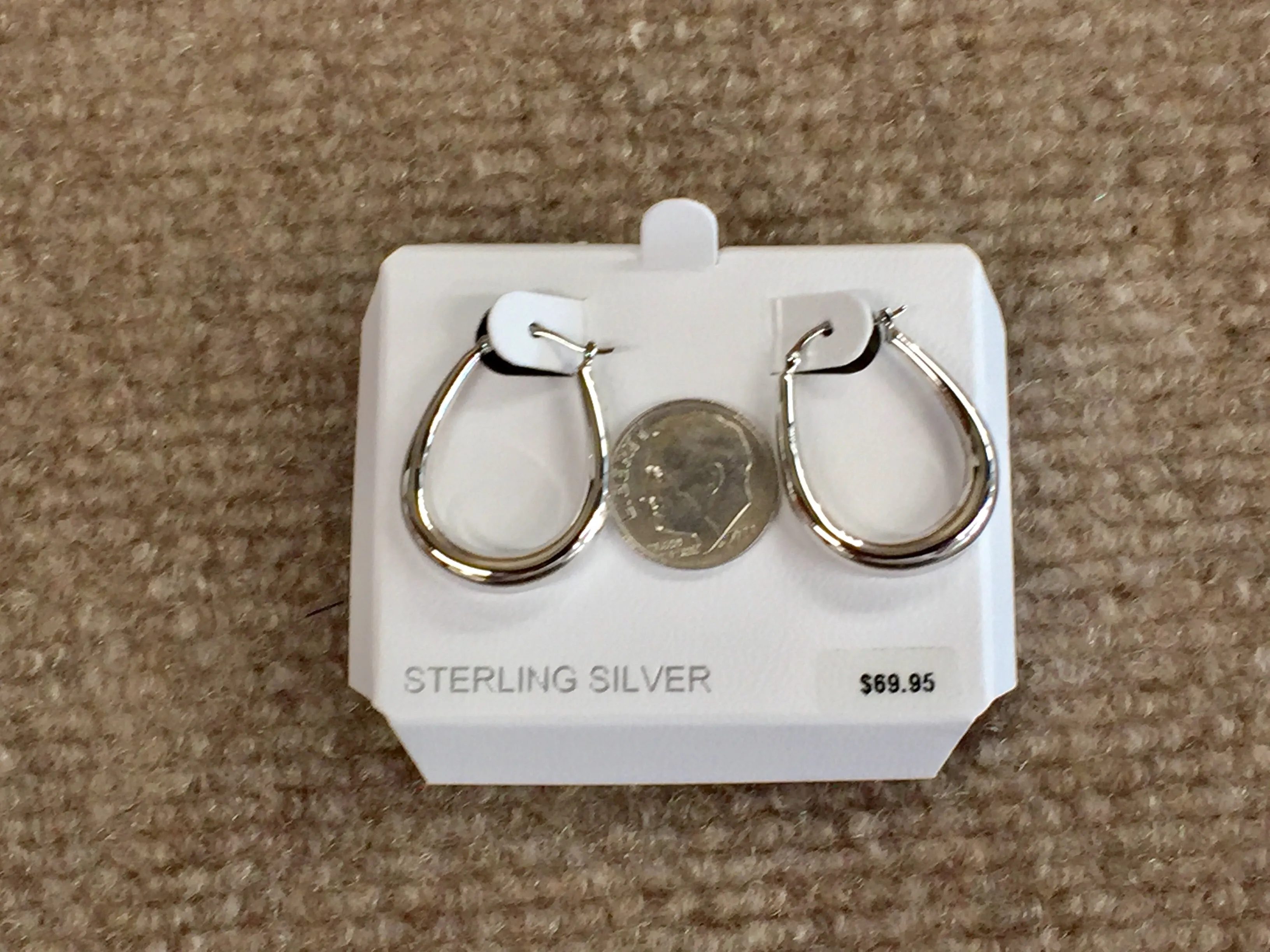 Silver Oval Hoop Earrings